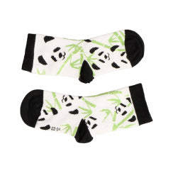 BAO BAO 2