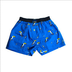 SMALL TUCAN 3
